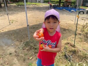第4回 ケチャップづくり