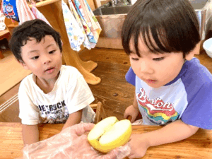 3歳つき組 りんご りんご どんなあじ?①