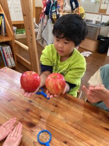 旬のりんごをたべてみよう🍎その７
