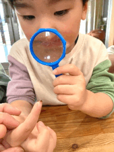 りんご　りんご　どんなあじ？⑦