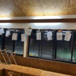 オリジナルクリスマスツリー☆彡