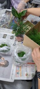 【サークル活動】心穏やかに　２０２５年　第１回投稿