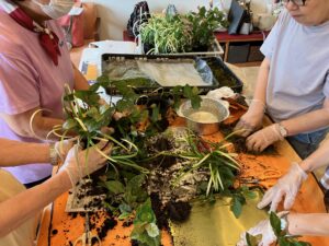 【サークル活動】はじめての苔玉づくり