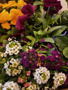 【サークル活動】クリスマスと新春に向けて