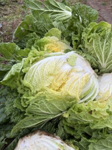 【サークル活動】Take a step